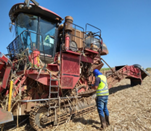 NR 31 - Segurança e Saúde no Trabalho  na Agricultura , Pecuário Silvicultura, Exploração Florestal e Agricultura